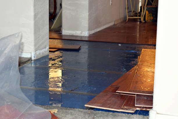 Professional Flood Cleanup technician working in Westport, CT